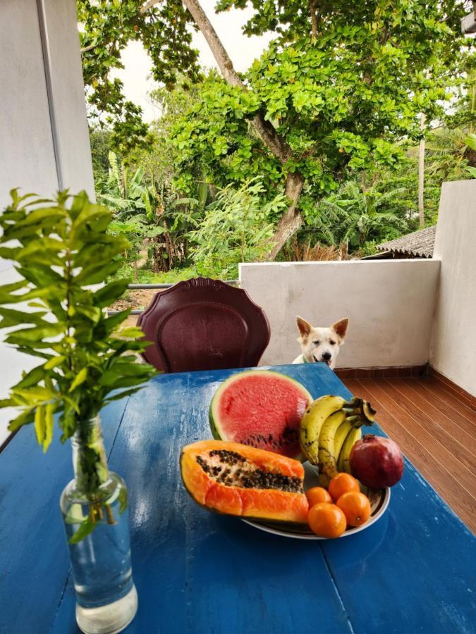 King Coco House Apartment ดิคเวลลา ภายนอก รูปภาพ